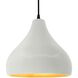 Radiance LED 13.5 inch Matte White and Champagne Gold and Matte Black Pendant Ceiling Light