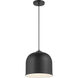Vantage Pendants 1 Light 11 inch Coal Pendant Ceiling Light