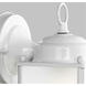 New Castle 1 Light 10.25 inch White Outdoor Wall Lantern, Large