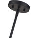 Acordia 4 Light 20 inch Black Pendant Chandelier Ceiling Light