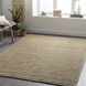 Viera 90 X 60 inch Olive Rug in 5 x 8, Rectangle