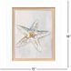 Serenity Shells Blue and Neutral Framed Art, Propac