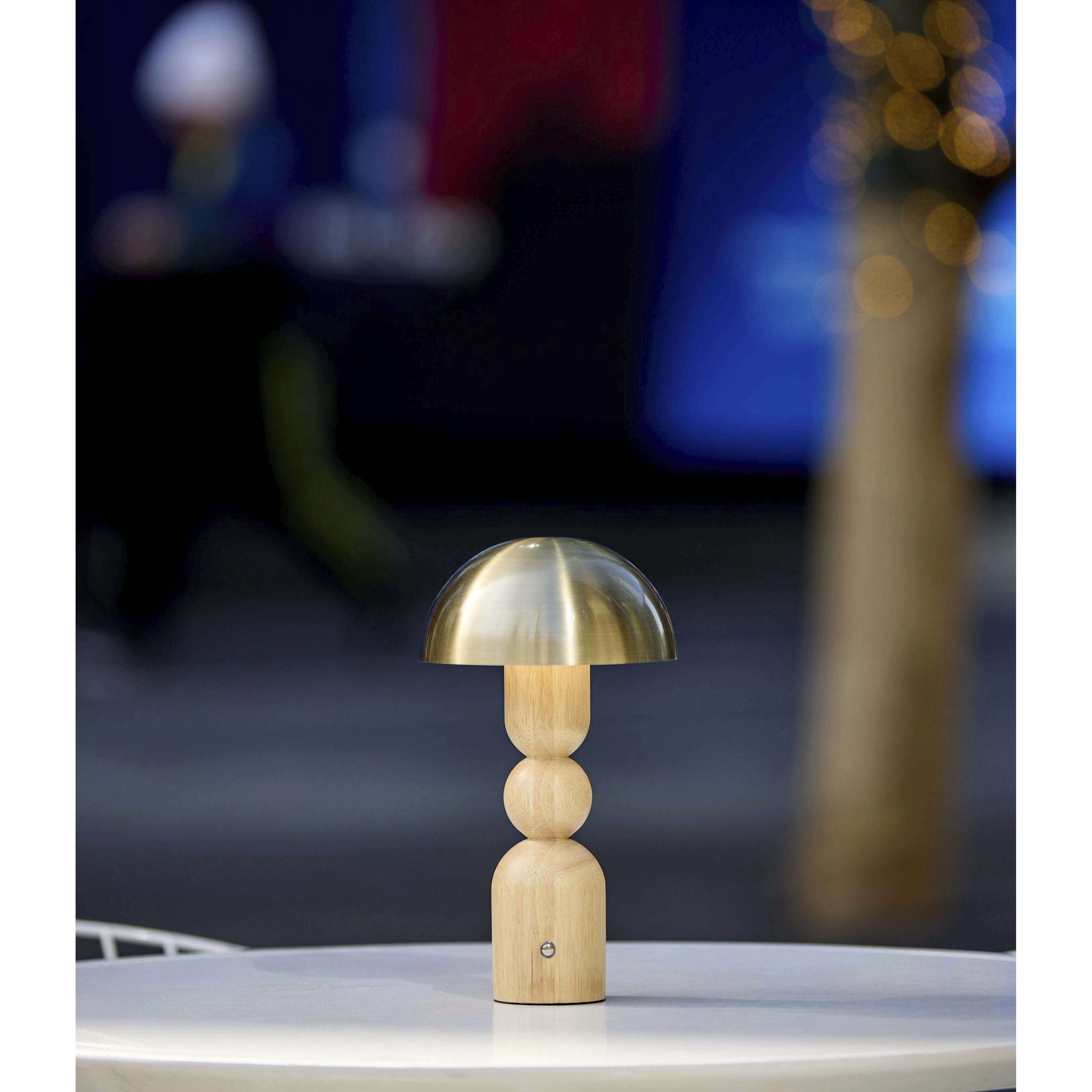 Connie 10.75 inch 2.00 watt Natural and Antique Brass Cordless Table Lamp Portable Light