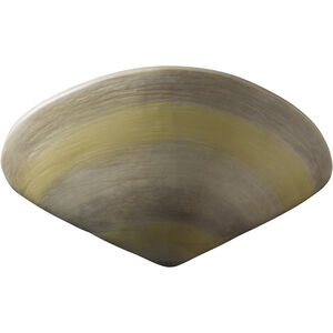 Ambiance LED 11.5 inch Clam Shell Wall Sconce Wall Light