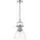Yep Duncan 1 Light 8.88 inch Chrome Pendant Ceiling Light in Clear Glass