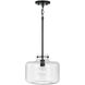 Brighton 1 Light 12 inch Matte Black Pendant Ceiling Light