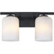 Bluestone Ridge LED 16 inch Matte Black Vanity Wall Light