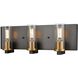 Sambre 3 Light 24 inch Multiple Finishes and Graphite Bath Vanity Wall Light in Clear Glass
