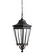 Cotswold Lane 3 Light 12 inch Black Outdoor Pendant, Medium