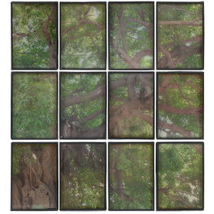 Tree Branch Green/Brown Collage Wall Art