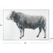 Rustic Cow White Wall Art