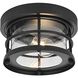 Carla 1 Light 10 inch Black Outdoor Flush Mount