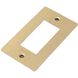 1G Brass Plate