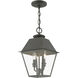 Wentworth 2 Light 9 inch Charcoal Outdoor Pendant Lantern, Medium