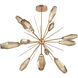 Aalto LED Novel Brass Chandelier Ceiling Light, Starburst