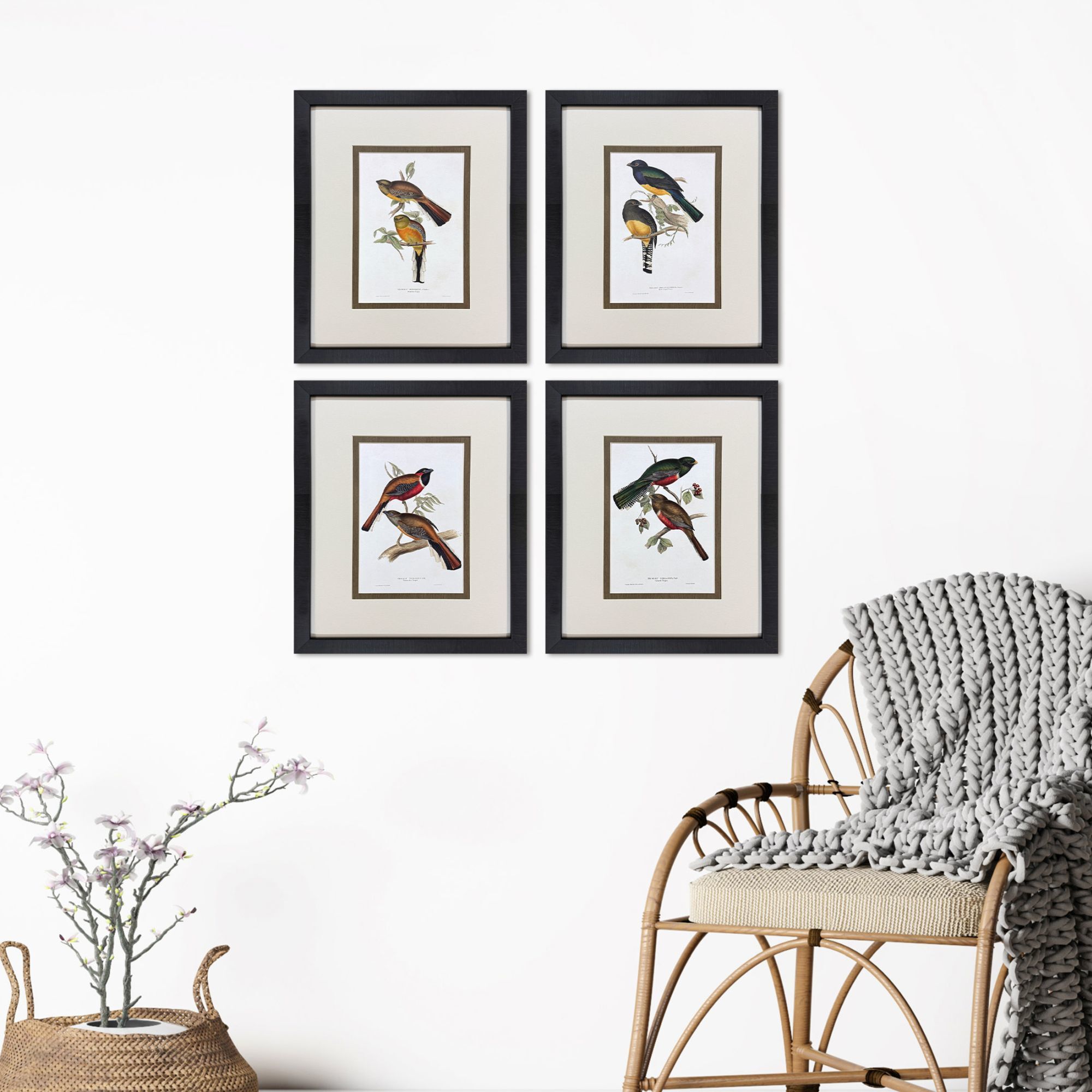 Elegant Trogons Multi and Green and Rust and Red Framed Art, Propac