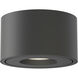 Fulcrum LED 5 inch Black Flush Mount Ceiling Light