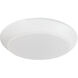 Opal 1 Light 9.50 inch Flush Mount