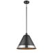 Place Royal 1 Light Graphite Pendant Ceiling Light