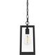 Veda 1 Light 5.5 inch Black Outdoor Pendant