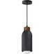 Pompeii 1 Light 4.75 inch Lava and Black Single Pendant Ceiling Light