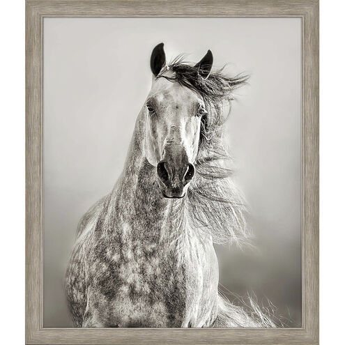 Animals Beige and Neutral Framed Art