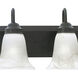 Homestead 3 Light 24 inch Painted Bronze Vanity Light Wall Light