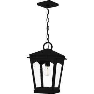 Huck 1 Light 10 inch Earth Black Outdoor Hanging Lantern, Large