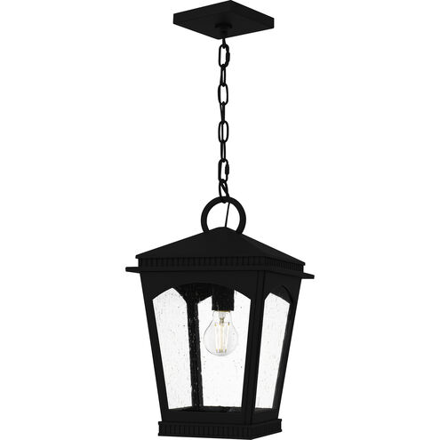Huck 1 Light 10 inch Earth Black Outdoor Hanging Lantern, Large