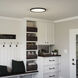 Outskirts 20 inch Earth Black Flush Mount Ceiling Light
