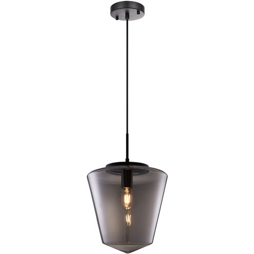 Matteo Lighting Idina 1 Light 12 inch Black Pendant Ceiling Light C80302BK - Open Box