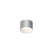 Ilios LED 6 inch Dove Gray Surface Mount Ceiling Light
