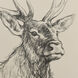 Leander Multi - Beige and Tan and Charcoal and Black Wall Art