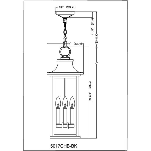 Tiberius 4 Light 9 inch Black Outdoor Chain Mount Ceiling Fixture in Clear Seedy Glass