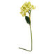 Almost Real Green Floral
