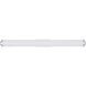Procyon 25 inch Silver Bathroom Vanity Light Wall Light