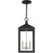 Nyack 3 Light 8.25 inch Black with Brushed Nickel Cluster Outdoor Pendant Lantern