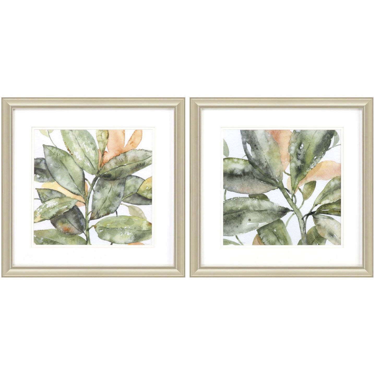 Florals Green and Orange Framed Art, Propac