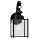 Jamestowne Outdoor Wall Lantern in Black, Medium