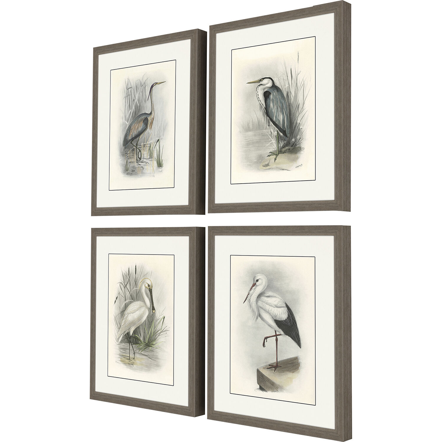Animals Gray and Beige and Neutral and White Framed Art