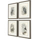 Animals Gray and Beige and Neutral and White Framed Art