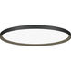 Bina LED 24 inch Black Surface Mount Ceiling Light