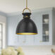 Alora Mood Waldo Pendant Ceiling Light in Aged Gold and Matte Black