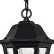 Estate Series Manor House LED 9 inch Black Outdoor Hanging Lantern