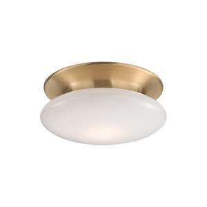 Irvington LED 12 inch Satin Brass Flush Mount Ceiling Light