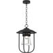 Erlenmeyer 1 Light 12.10 inch Outdoor Pendant/Chandelier