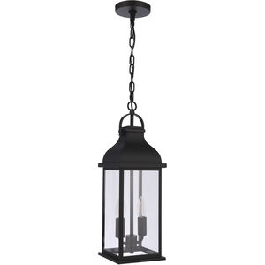 Bent Tree 2 Light 7 inch Midnight Outdoor Pendant