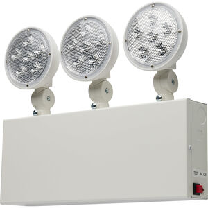 Edgewood LED 12 inch White Emergency Lighting Wall Light