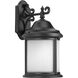 Ashmore Outdoor Wall Lantern