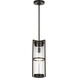 Alcona 1 Light 7 inch Antique Bronze Outdoor Pendant Lantern